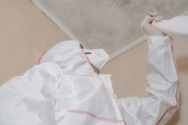 Best Crawl Space Mold Removal  in Savage, MN